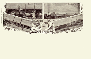 Senftenberg